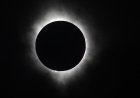 Missed the total solar eclipse? Watch video of key moments.