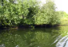 View of river from boat